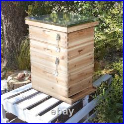 3 Tiers Langstroth Beehive Box Wooden Hive Frames Beekeeping Honey Brood Box