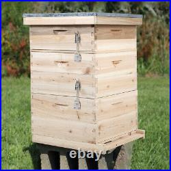 3 Tiers Langstroth Beehive Box Wooden Hive Frames Beekeeping Honey Brood Box New