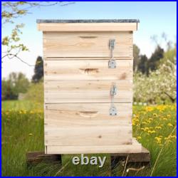 3 Tiers Langstroth Beehive Box Wooden Hive Frames Beekeeping Honey Brood Box New