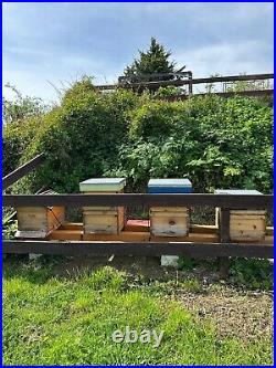 3x National Bee Hive Bee Keeping Pine, 1x Autoflow Honey Hive