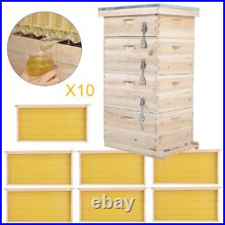 4Tier Pre-assembled Langstroth Beehive Brood Super Box Beekeeping Beekeeper Tool