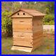 4_Frames_Flowing_Honey_Hive_Beehive_Frame_Beekeeping_Brood_Cedarwood_Box_Set_01_fo