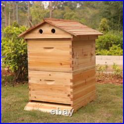 4 Frames Flowing Honey Hive Beehive Frame & Beekeeping Brood Cedarwood Box Set