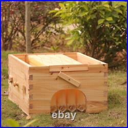 4 Frames Flowing Honey Hive Beehive Frame & Beekeeping Brood Cedarwood Box Set
