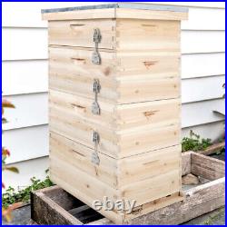 4 Tier Langstroth Beehive Box Wooden Hive Frames Beekeeping Honey Brood Boxes UK
