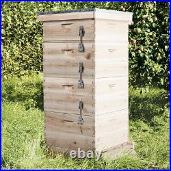 4 Tier Langstroth Beehive Box Wooden Hive Frames Beekeeping Honey Brood Boxes UK