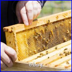 4 Tiers Beehive Box Beekeeper Beekeeping Honey Bee Hive Frames Beekeeper Tool