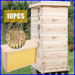 4 Tiers Langstroth Beehive Box Beekeeping Wooden Brood Box with Bee Hive Frames