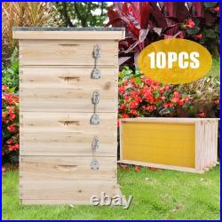 4 Tiers Langstroth Beehive Box Beekeeping with Bee Hive Frames Wooden Brood Box