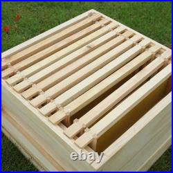 4 Tiers Langstroth Beehive Box Beekeeping with Bee Hive Frames Wooden Brood Box