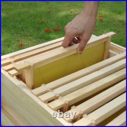 4 Tiers Langstroth Beehive Box Wooden Hive Frames Beekeeping Honey Brood Box