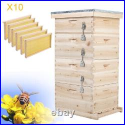 4 Tiers Langstroth Beehive Brood Box Beekeeping and 10pcs Brood Bee Hive Frames