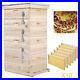 4_Tiers_Langstroth_Beehive_Wooden_Bee_Hive_Box_with_10pcs_Brood_Bee_Hive_Frames_01_vehw