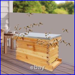 5-Frame Bee Hive Box Kit Beekeeping Box with Nest Frame and Foundation WoodColor