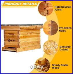 5 Frame Bee Hive Nuc Box Coated with 100% Beeswax Includes Beehive Frames and Wa