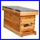 5_Frame_Nuc_Beehive_Box_for_Beekeeping_Complete_Bee_Hive_Nuc_Box_Kit_Dipped_in_01_dom