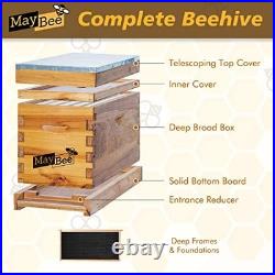5-Frame Nuc Beehive Box for Beekeeping Complete Bee Hive Nuc Box Kit Dipped in