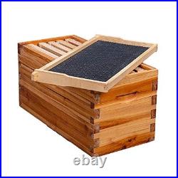 5-Frame Nuc Beehive Box for Beekeeping Complete Bee Hive Nuc Box Kit Dipped in