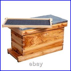 5-Frame Nuc Beehive Box for Beekeeping Complete Bee Hive Nuc Box Kit Dipped in