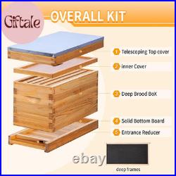 5 Frame Nuc Beehive Kit, Complete Bee Hive Nuc Box Coated with Beeswax Includes