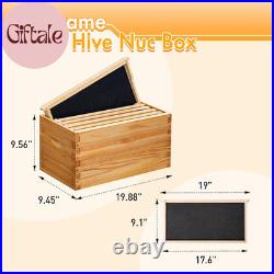5 Frame Nuc Beehive Kit, Complete Bee Hive Nuc Box Coated with Beeswax Includes