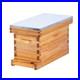 5_Frame_Nuc_Complete_Bee_Hive_Kit_Langstroth_Beehive_Box_Dipped_in_Beeswax_In_01_bzzb