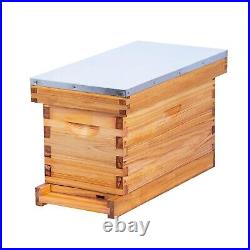 5 Frame Nuc Complete Bee Hive Kit Langstroth Beehive Box Dipped in Beeswax In