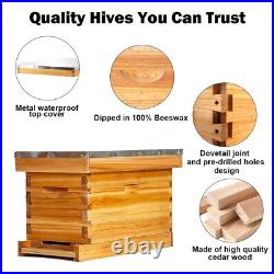 5 Frame Nuc Complete Bee Hive Kit Langstroth Beehive Box Dipped in Beeswax In