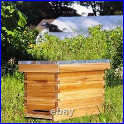 5 Frame Nuc Complete Bee Hive Kit Langstroth Beehive Box Dipped in Beeswax In