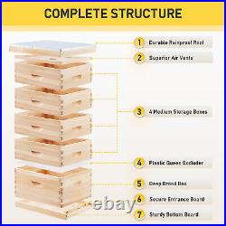 5 Layer Bee Hive Boxes Starter Kit Langstroth Beehive for Beekeeping Supplies