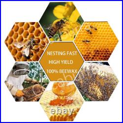60Pcs Bee Hive Foundation Sheets, 9 Langstroth Beehive Wax Foundation, Deep Bee