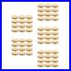 60Pcs_Beehive_Feeder_Lid_Durable_Iron_Bee_Watering_Station_Accessory_Golden_01_znzy