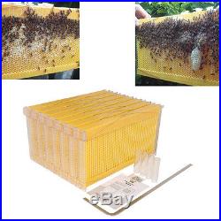 6PCS Bee Auto Move Down Raw Honey Beekeeping Beehive Hive Frames Harvesting NEW