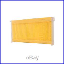 6PCS Bee Auto Move Down Raw Honey Beekeeping Beehive Hive Frames Harvesting NEW