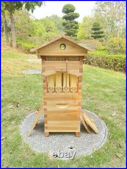6PCS Brood Box Frames+ 4PCS Auto Honey Bee Hive Frames +Wooden Beehive House