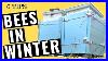 6_Tips_To_Winterizing_Beehives_01_dn