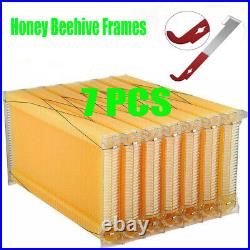 7PCS Auto Flwoing Honey Frames Bee Hive Box Beekeeping Beehive Tool +Scraper