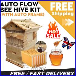 7PCS Auto Free Flow Honey Beehive Frames + Beekeeping Brood Cedarwood Wooden Box