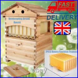 7PCS Auto Honey Bee Hive Frames + Double Beehive Beekeeping Brood House Box UK