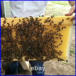 7PCS Auto Honey Beekeeping Beehive Bee Comb Hive Frames Harvesting Food-grade UK