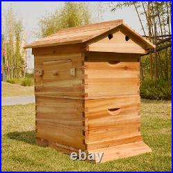7PCS Free Flowing Honey Beehive Frames + Beekeeping Brood Wooden Bee Hive House