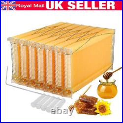 7PCS Free Flowjing Bee Comb Hive Frames Set For Wooden Beekeeping Beehive House