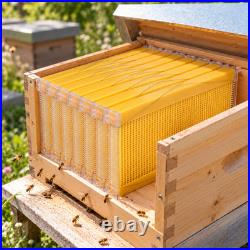 7PCS Upgraded Auto Flow Beehive Frames, Honey Harvesting Comb for Beekeeping