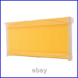 7PCS Upgraded Auto Flow Honey Beekeeping Beehive Bee Comb Hive Frames Harvesting