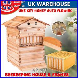 7PC Free Flowing Bee Hive Honey Frame &Wooden Beekeeping beehive House Super Box