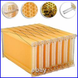 7PC Free Flowing Bee Hive Honey Frame &Wooden Beekeeping beehive House Super Box