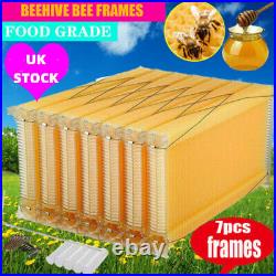 7Pcs Auto Honey Beehive Frames Beekeeping Kits Bee Hive Frame Harvesting US