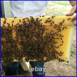 7Pcs Upgraded Free Flowing Beehive Frames Comb Honey Beekeeping Easibee Waxdip