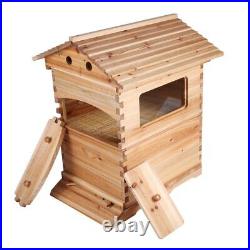 7X Auto Honey Bee Hive Flowing Frames+Double Beehive Beekeeping Brood House Box