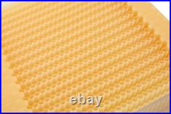 7X Auto Run Honey Frame Comb Shed Bee Frames Plastic Beehive Frame Beekeeping